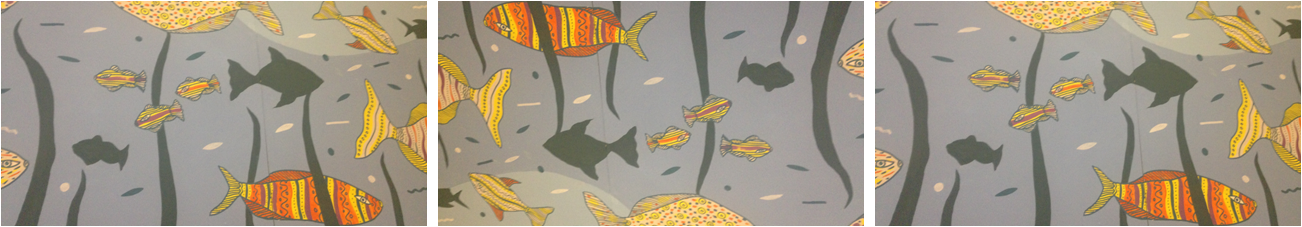 01 FISH