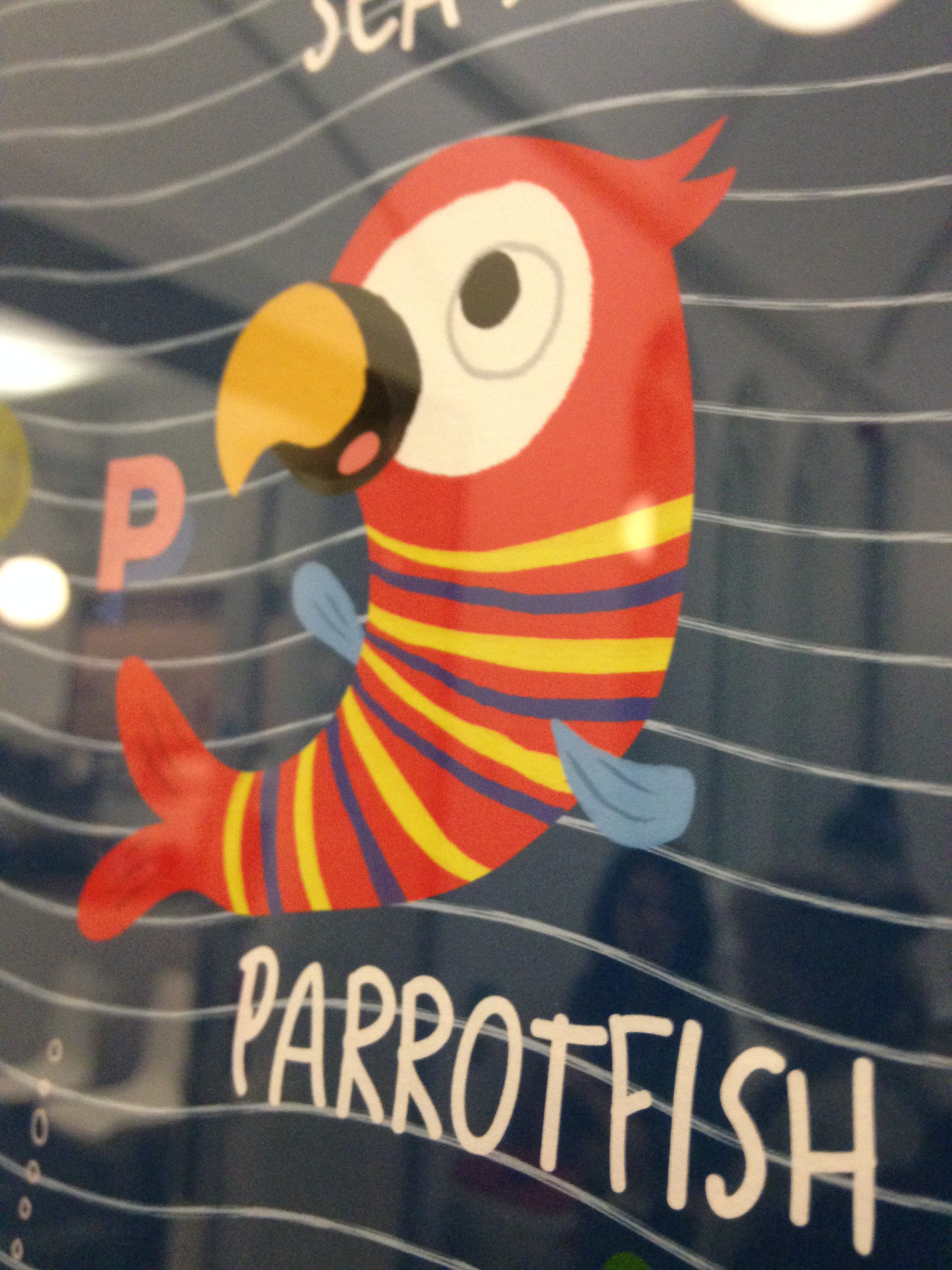 06 PARROT FISH