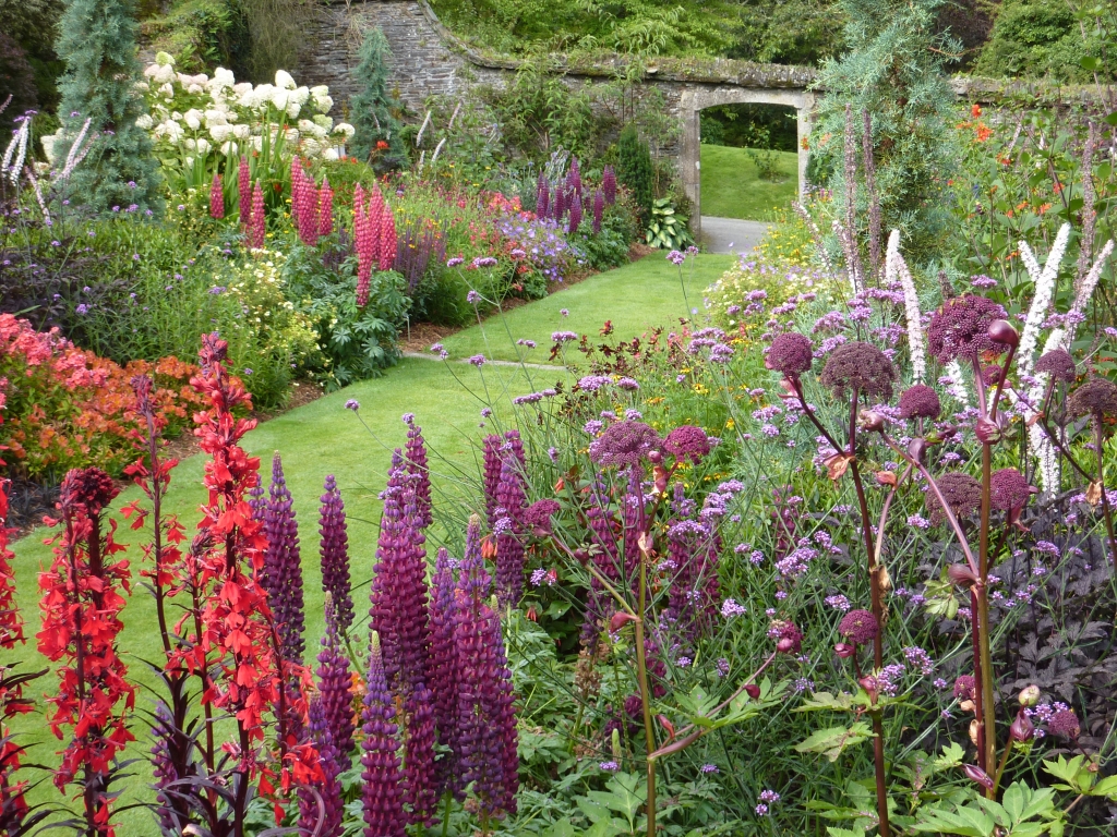 pic by The Garden House, Yelverton, great devon gardens, exploring exeter