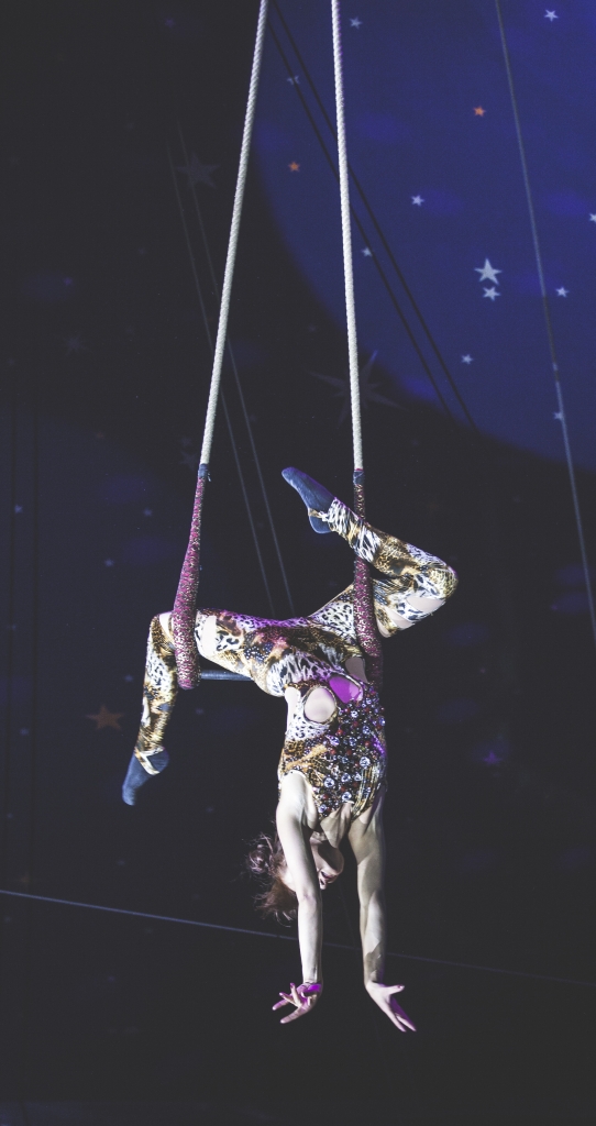 pic of Paulos Circus by Paul Foster of Tempo Media for Exploring Exeter