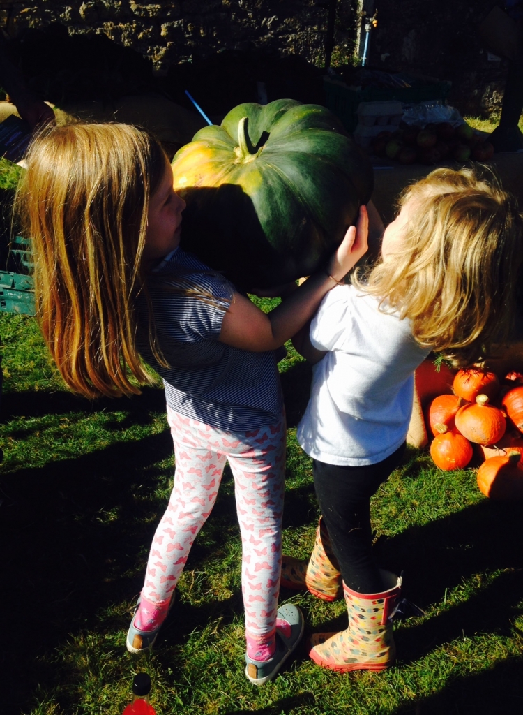 Powderham Food Festival for exploring exeter