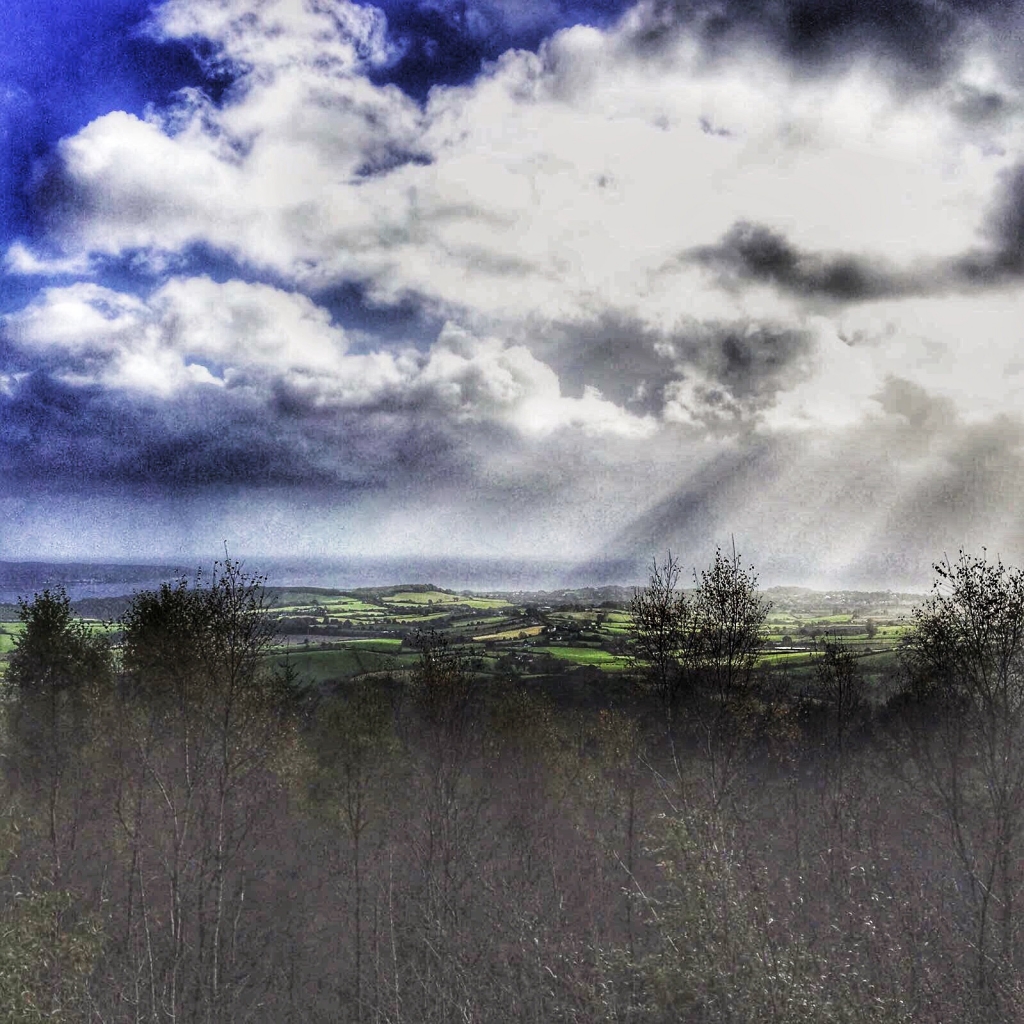 Mamhead Sensory Trail by steph walker for exploring exeter