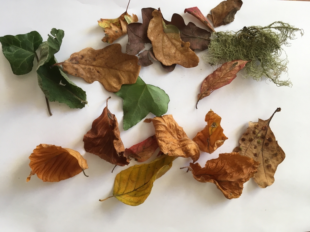 4 fab ideas for Autumn crafting with the kids, by exploring exeter 2017