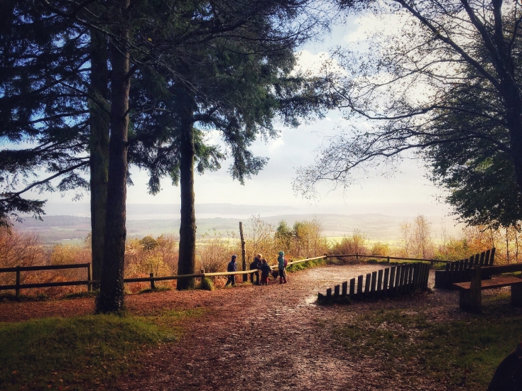 Mamhead Sensory Trail by steph walker for exploring exeter
