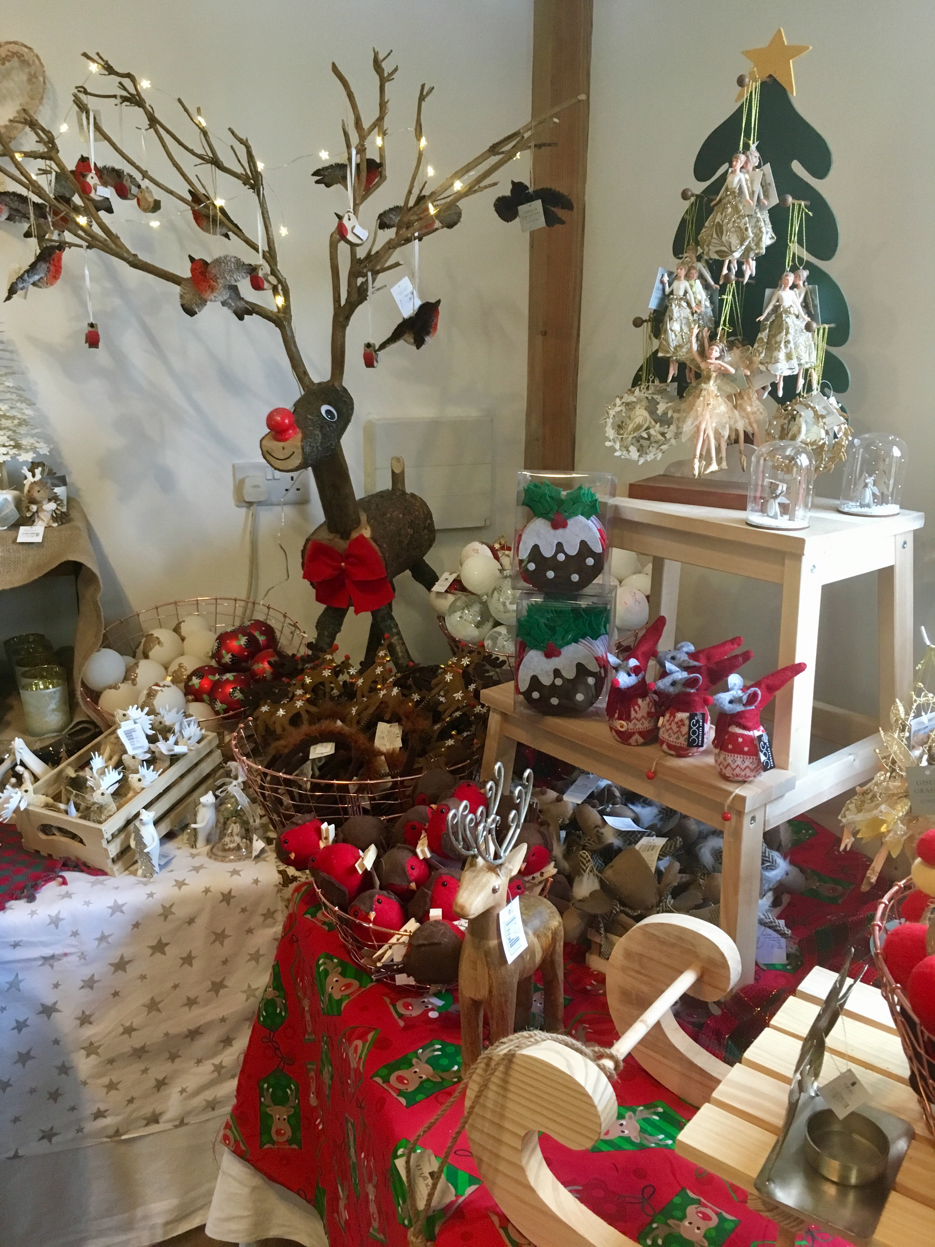 Christmas is coming! Christmas tree hunting at Cotley Farm. Exploring Exeter 2017