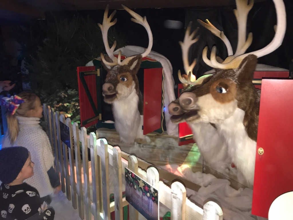 The other week, Amelie took a trip to Woodlands Adventure Park for meet Father Christmas. Exploring Exeter