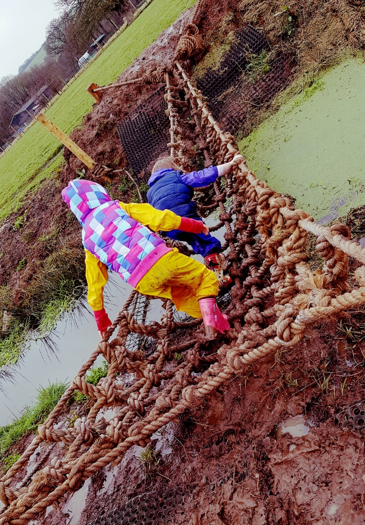 The Bear Trail in Cullompton gets some new obstacles and your chance to WIN tickets, Exploring exeter 2018