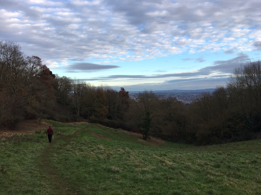 Walk: Barley Valley Local Nature Reserve, Exploring exeter, pic by steph walker