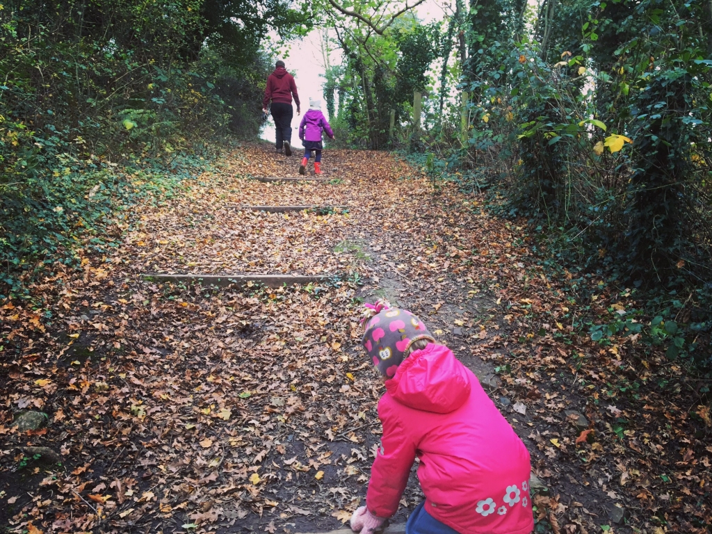 Walk: Barley Valley Local Nature Reserve, Exploring exeter, pic by steph walker