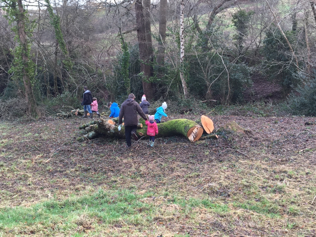 Walk: Barley Valley Local Nature Reserve, Exploring exeter, pic by steph walker