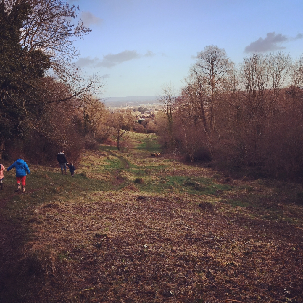 Walk: Barley Valley Local Nature Reserve, Exploring exeter, pic by steph walker