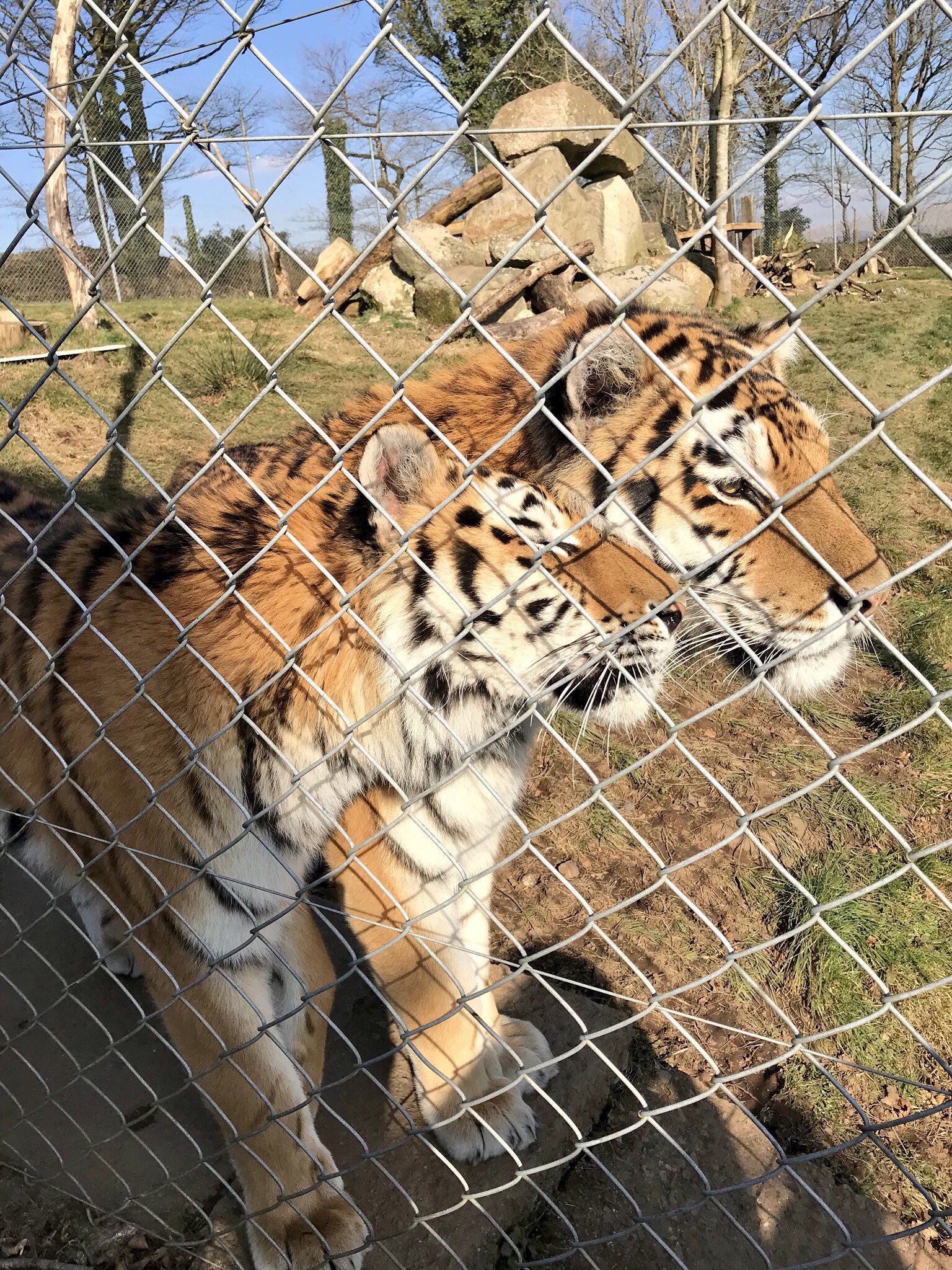Adventures in Devon February 2018, Dartmoor Zoo, Exploring Exeter