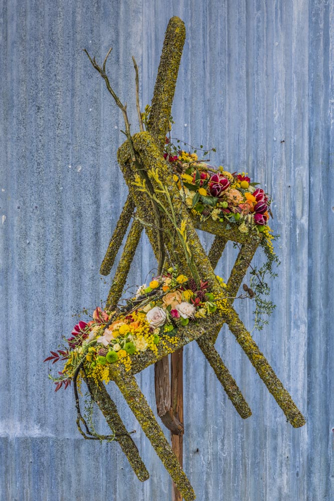 Exeter Floral Trail, Exploring Exeter 2018