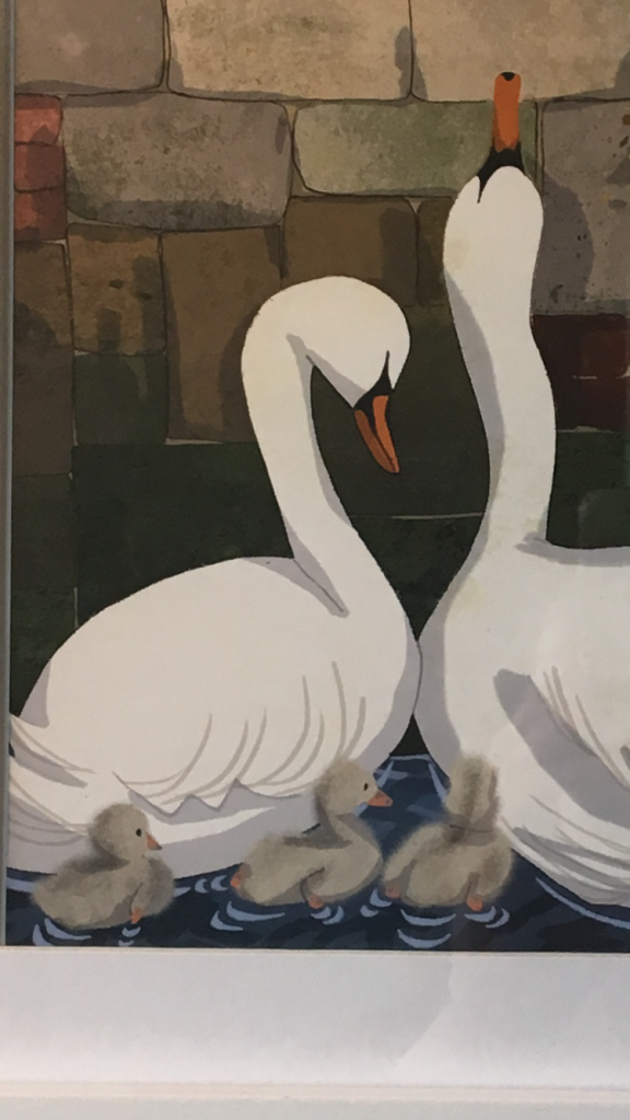 Exeter Illustrators exhibition open at The Welcome Cafe, Exploring Exeter