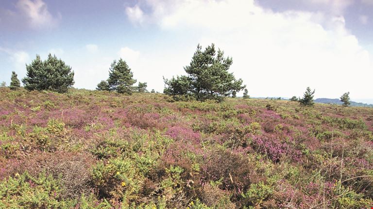 29 awesome things to do this Summer Holiday in Exeter and Devon (2018 edition) , Exploring Exeter