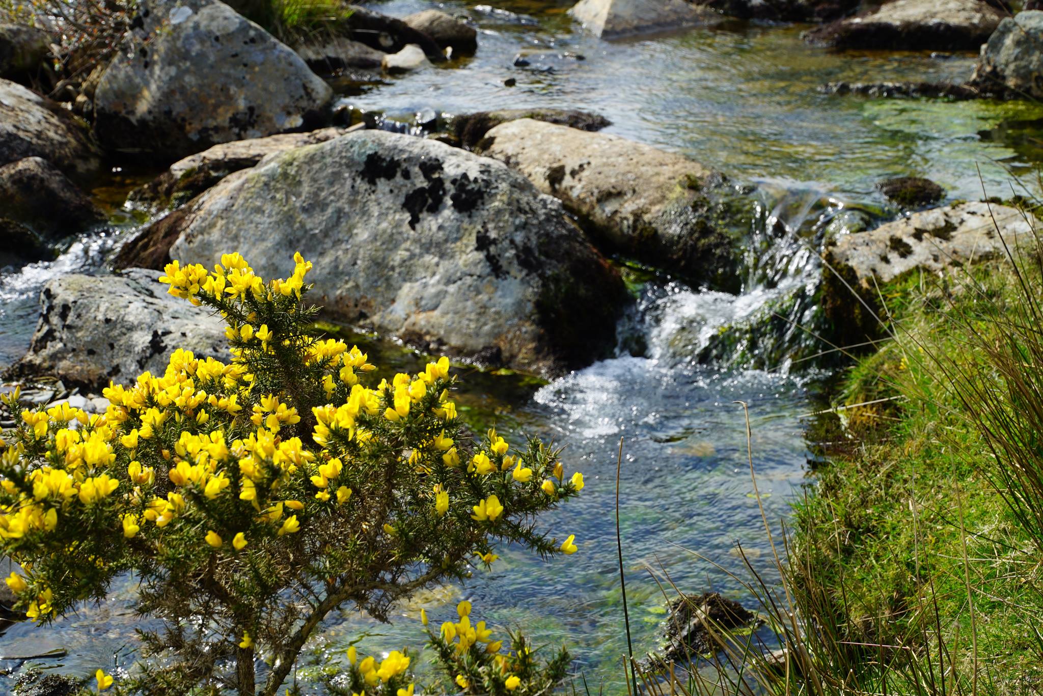 29 awesome things to do this Summer Holiday in Exeter and Devon (2018 edition) , Exploring Exeter