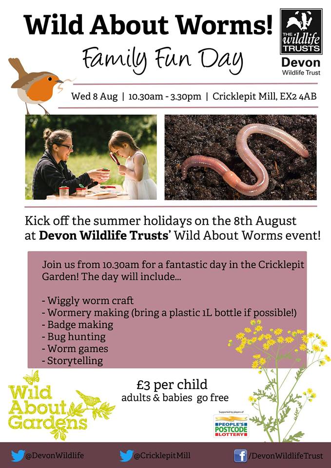 29 awesome things to do this Summer Holiday in Exeter and Devon (2018 edition) , Exploring Exeter
