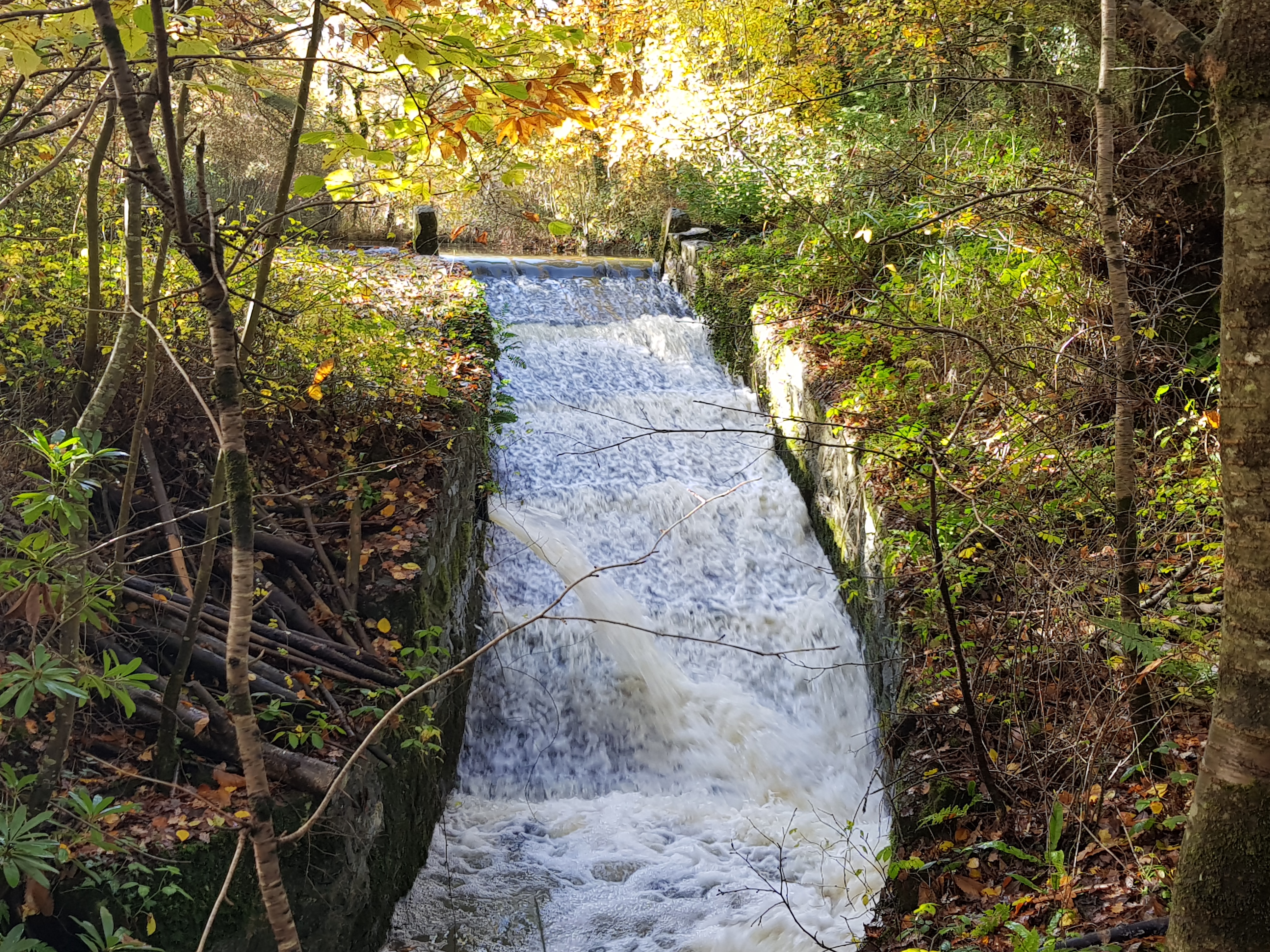 Wildlife Walks at Stover Country Park Nature Reserve, Newton Abbot