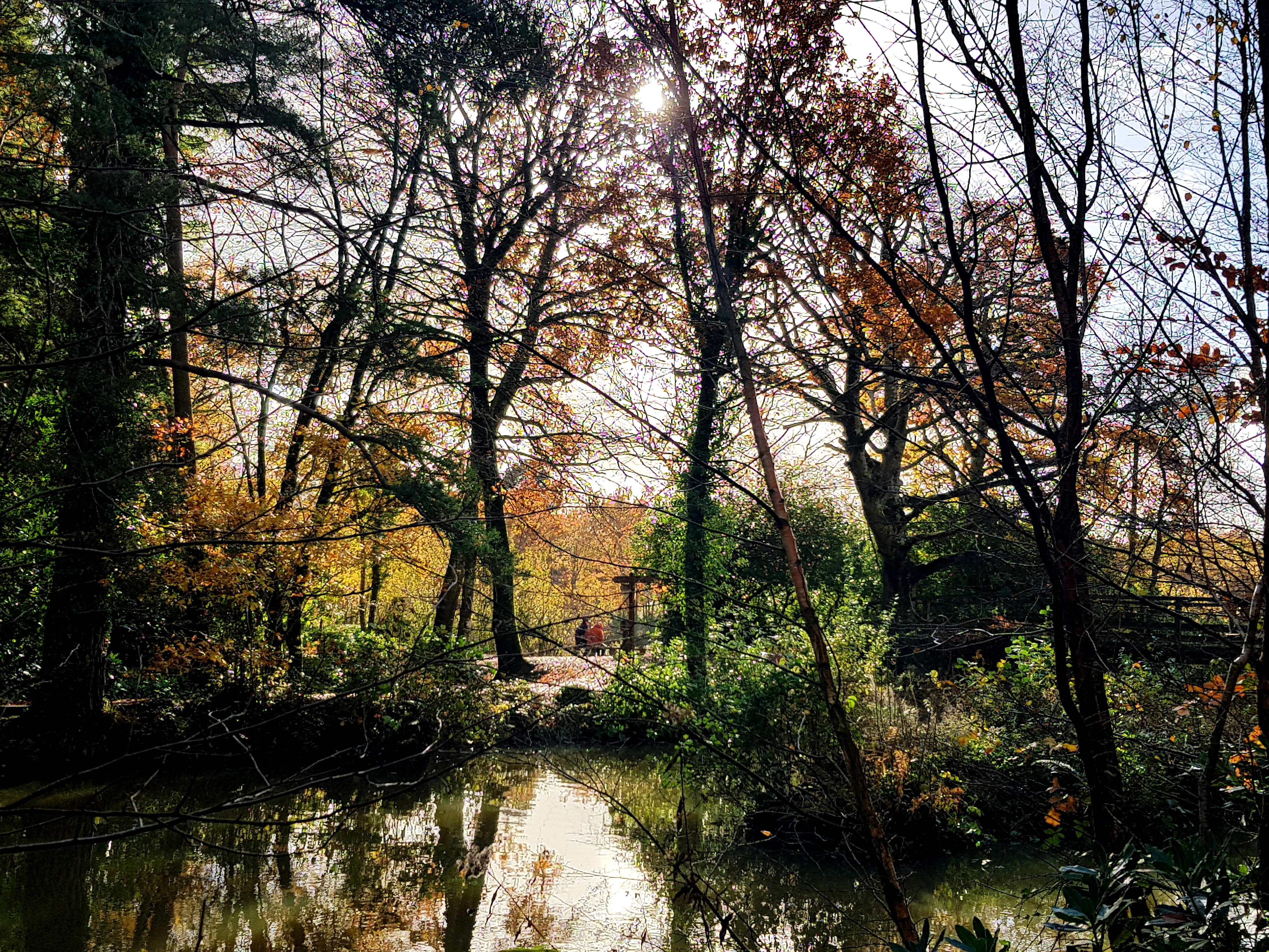 Wildlife Walks at Stover Country Park Nature Reserve, Newton Abbot