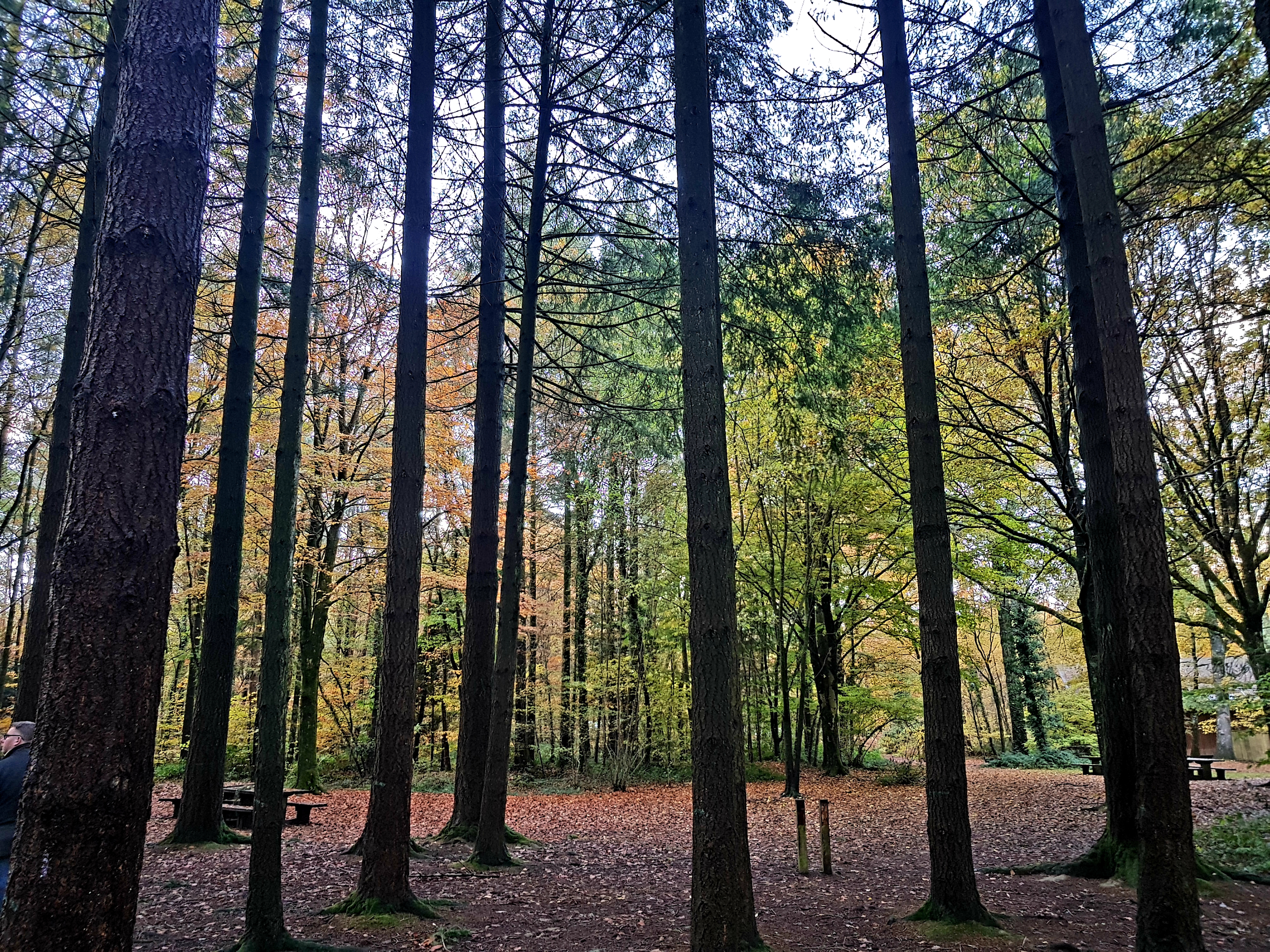 Wildlife Walks at Stover Country Park Nature Reserve, Newton Abbot