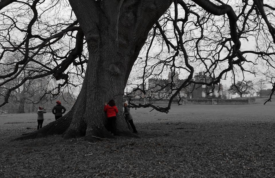 A magical day in Devon of yoga retreat and tree hugging at Powderham Castle, exploring exeter 2019