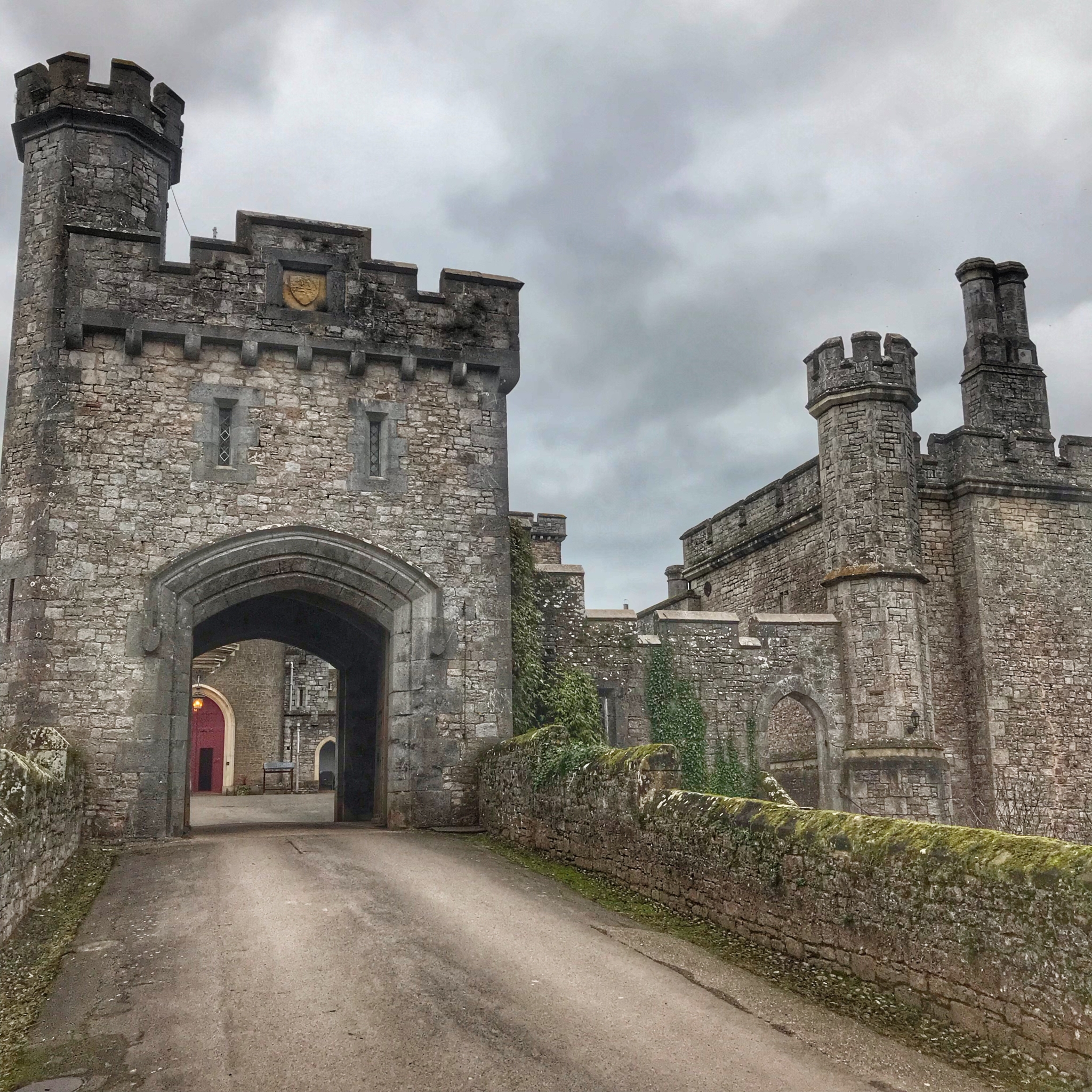 A magical day in Devon of yoga retreat and tree hugging at Powderham Castle, exploring exeter 2019