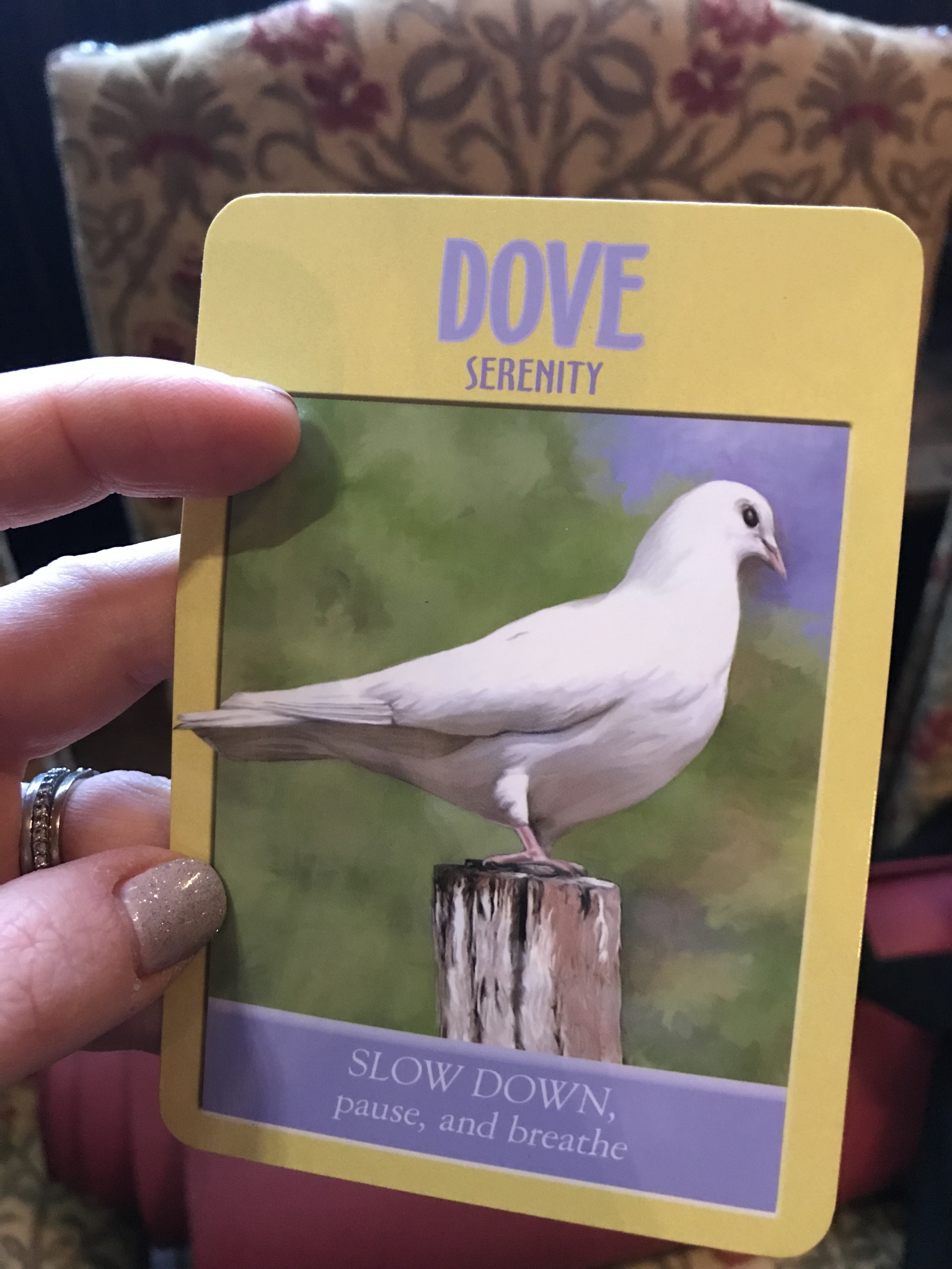 A magical day in Devon of yoga retreat and tree hugging at Powderham Castle, exploring exeter 2019