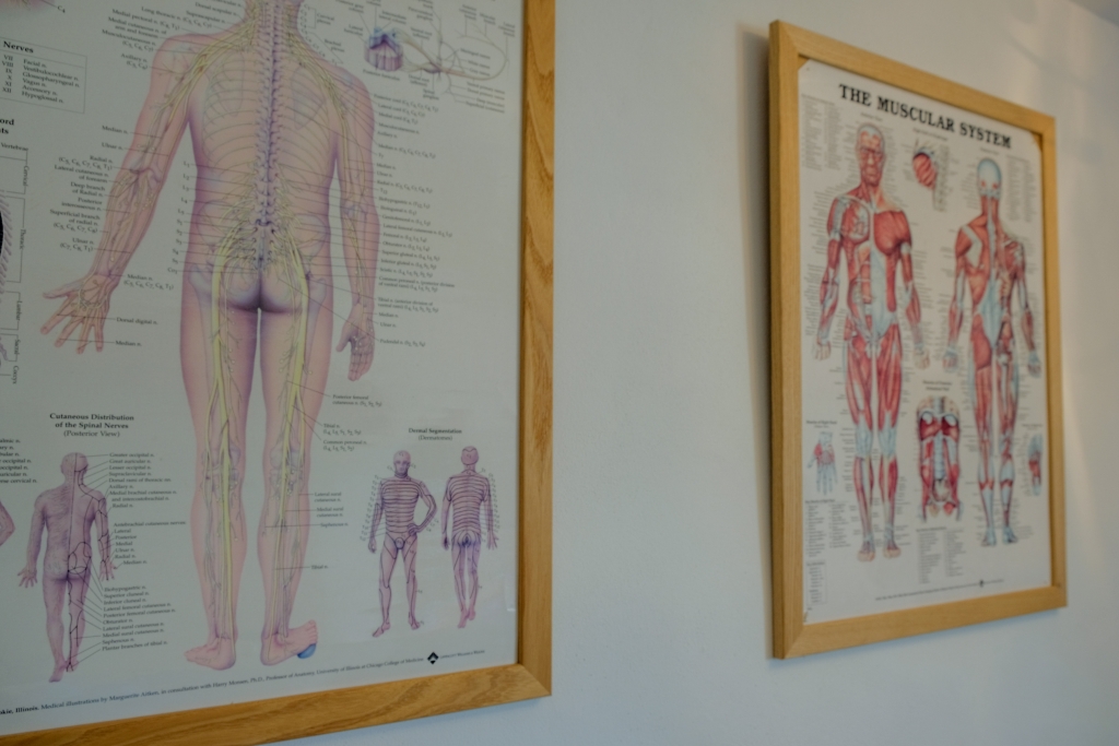 Seeking an alternative: Exploring Traditional Chinese Medicine and acupuncture in Exeter, Exploring Exeter 2019