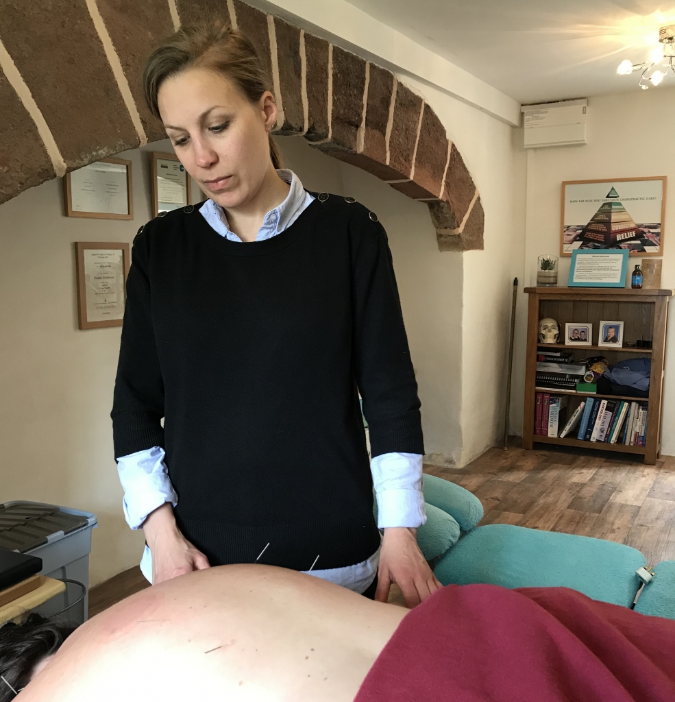 Seeking an alternative: Exploring Traditional Chinese Medicine and acupuncture in Exeter, Exploring Exeter 2019