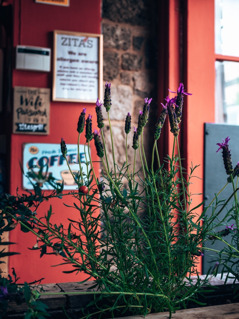 Zita's Smokehouse, a taste of Americana in Exeter, Exploring Exeter