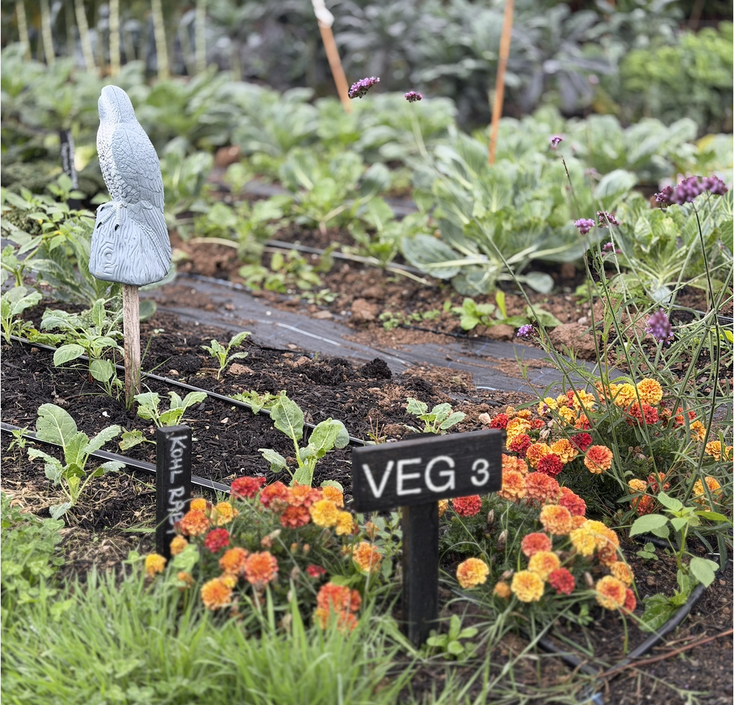 the garden at ANRÁN
